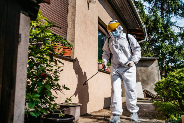 Best Wildlife Control Services  in San Bernardino, CA